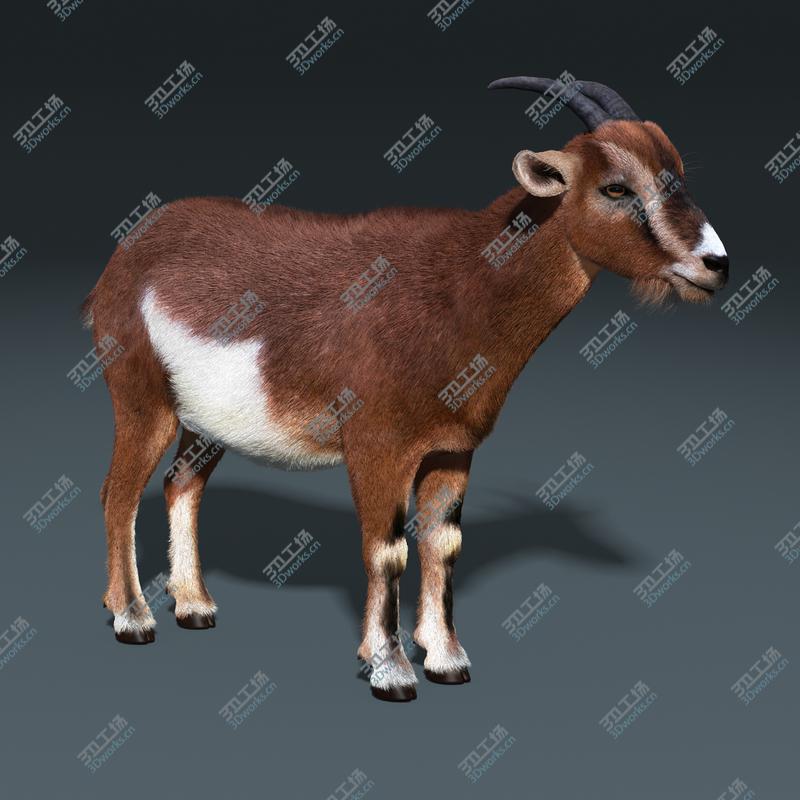 images/goods_img/20210319/Goat (FUR)/2.jpg